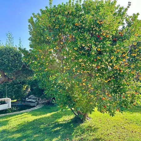 Trullo Il Carrubo *