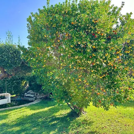Trullo Il Carrubo *